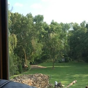 Meet your Posher, Owen